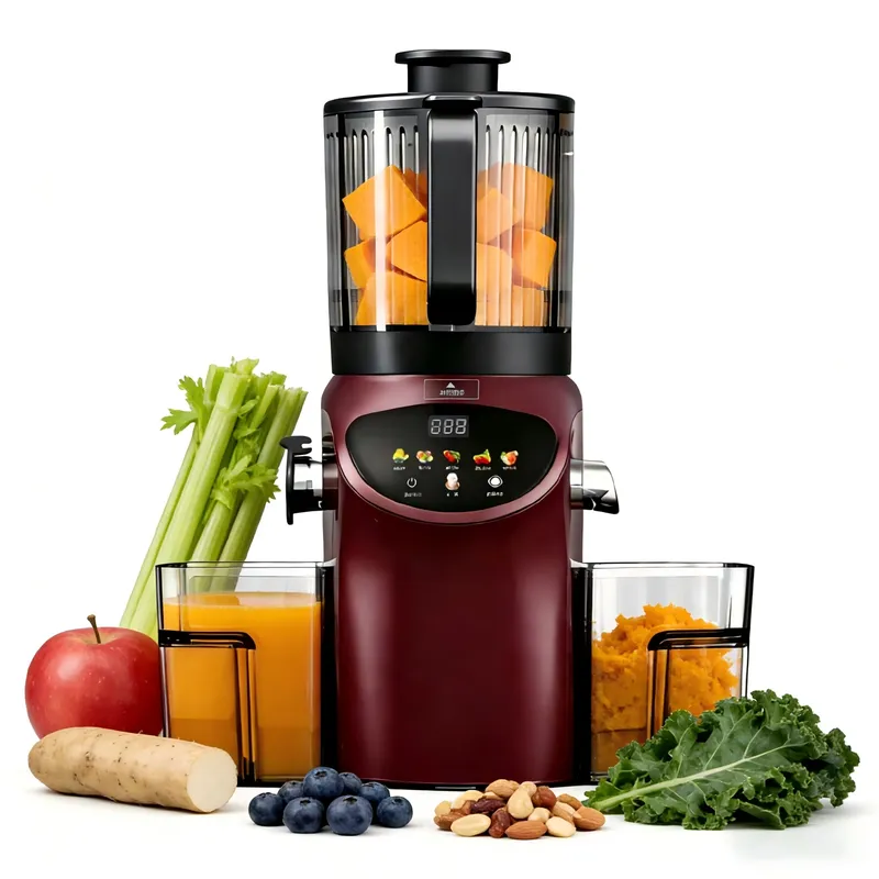 고급형 전기식 6.30인치 초대형 투입구 냉압착 착즙기 - Electric Slow Juicer Cold Press 리뷰 및 가격