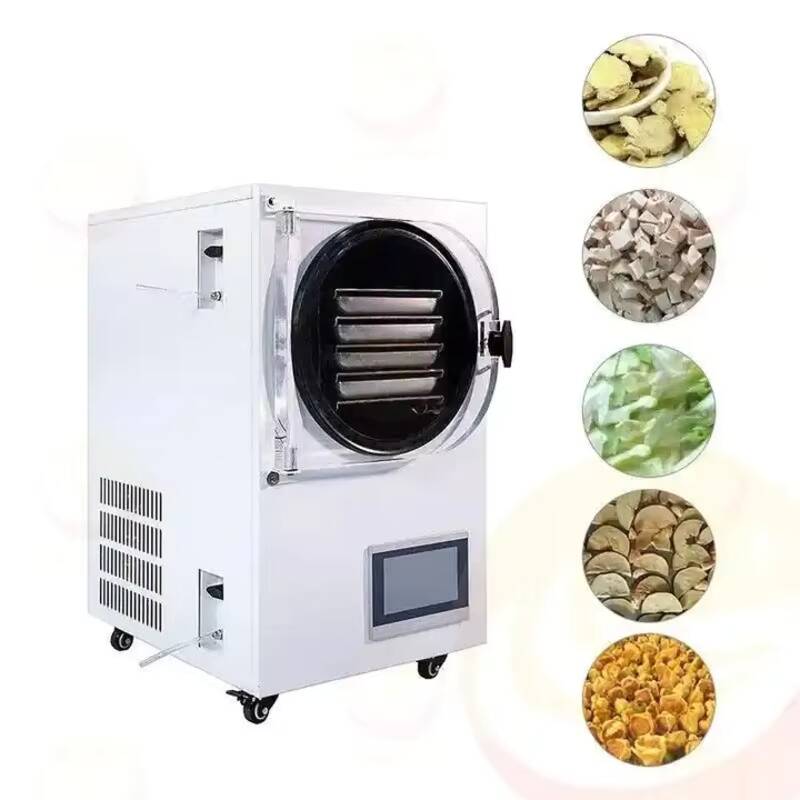 소형 진공 냉동 건조기 실험실용 냉동 건조기 가정용 미 - Home Appliances 리뷰 및 가격